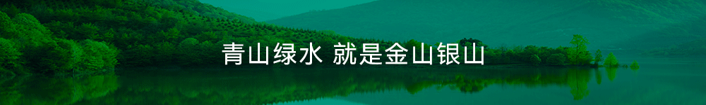 link1-1000px.gif